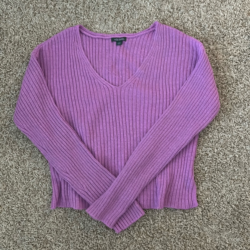 Target Wild Fable Sweater